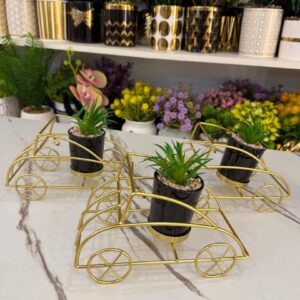 Gold Car-Shaped Planter Set